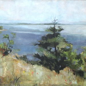 cape-cod-landscape