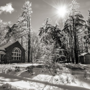 After the Ice Storm , Woodstock School of Art, Februrary 5, 2022