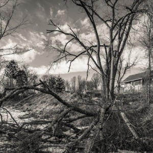 After-the-Storm-Elwyn-Lane-Woodstock-12x18