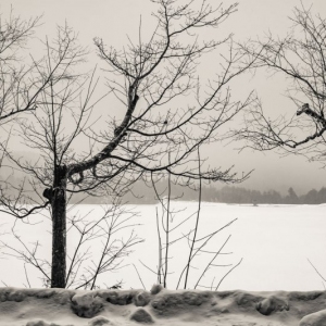 Cooper Lake, Snow, January 28, 2022