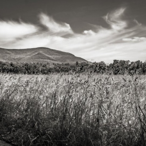 Mount Overlook from the Zena Cornfield, June 24, 2019