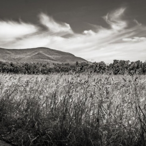 Mount Overlook from the Zena Cornfield, June 24, 2019