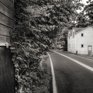 Lower Byrdcliffe Road, Woodstock. July 8, 2021.             Print: 1/15/21 Palo Duro, 20/72 dark              ©John Kleinhans